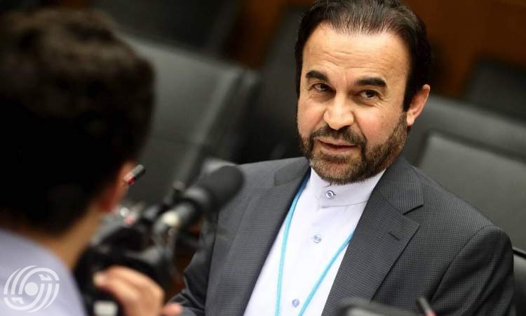 المحادثات بين ممثلي إيران والوكالة الذرية حققت تقدما المحادثات بين ممثلي إيران والوكالة الذرية حققت تقدما