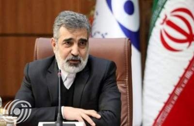 كمالوندي: سنعمل للتصديق على مقترح ايران بحظر استهداف المنشآت النووية