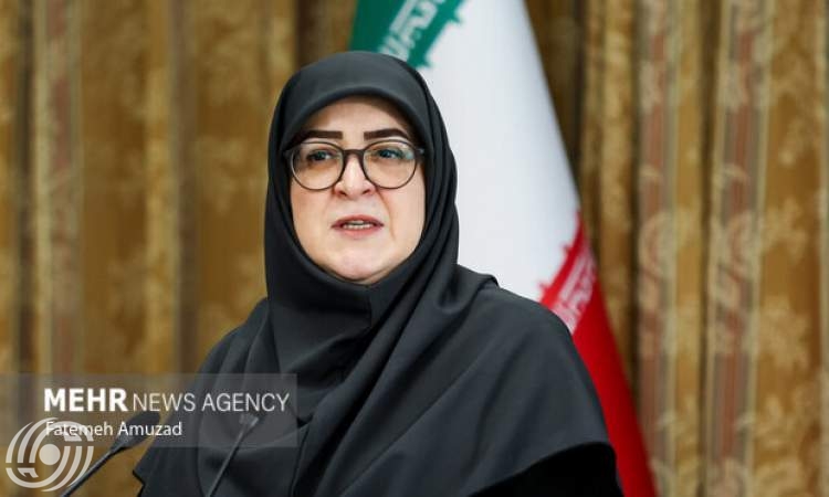 مهاجراني: تركيز الحكومة في رحلة نيويورك ينصب على توظيف الطاقات الدبلوماسية