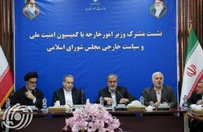 عراقجي يؤكد مواصلة الجهود لحماية حقوق إيران في الاستفادة من الطاقة النووية