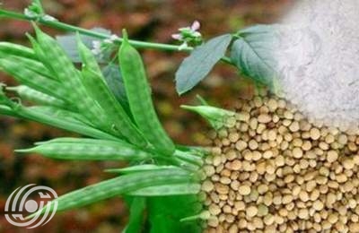 باحث ايراني يقدم في العراق نتائج ابحاثه حول نبات الغوار