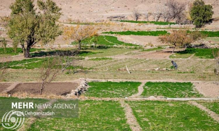 ايران تحقق الاكتفاء الذاتي بنسبة 87% في القطاع الزراعي