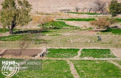 ايران تحقق الاكتفاء الذاتي بنسبة 87% في القطاع الزراعي