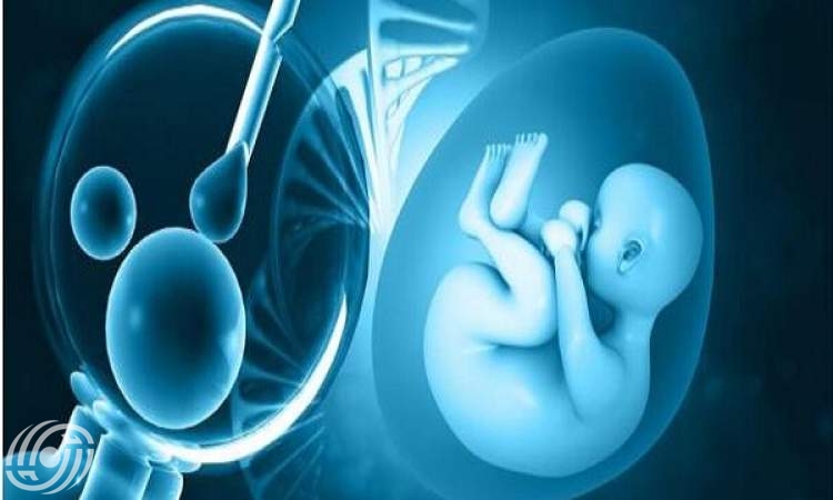 أطفال الأنابيب (IVF) ما هو؟