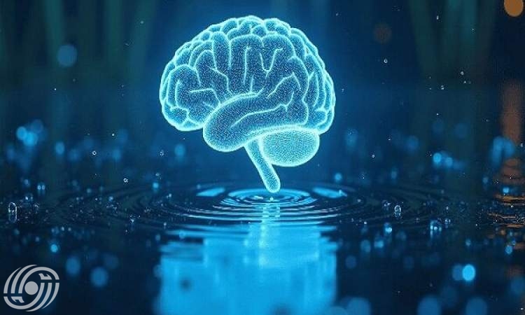 إنشاء منظمة وطنية للذكاء الاصطناعي.