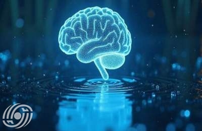 إنشاء منظمة وطنية للذكاء الاصطناعي.