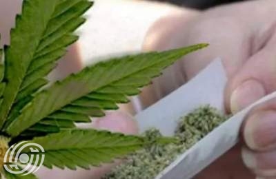 يتم بيع "المواد الكيميائية" و"البنزاي" على أنها أزهار يتم بيع "المواد الكيميائية" و"البنزاي" على أنها أزهار