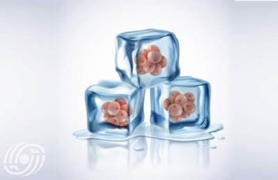 تجميد البويضات: طريقة للحفاظ على خصوبة المرأة تجميد البويضات: طريقة للحفاظ على خصوبة المرأة