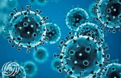 سلالة جديدة من فيروس كورونا تنتشر في البلاد سلالة جديدة من فيروس كورونا تنتشر في البلاد