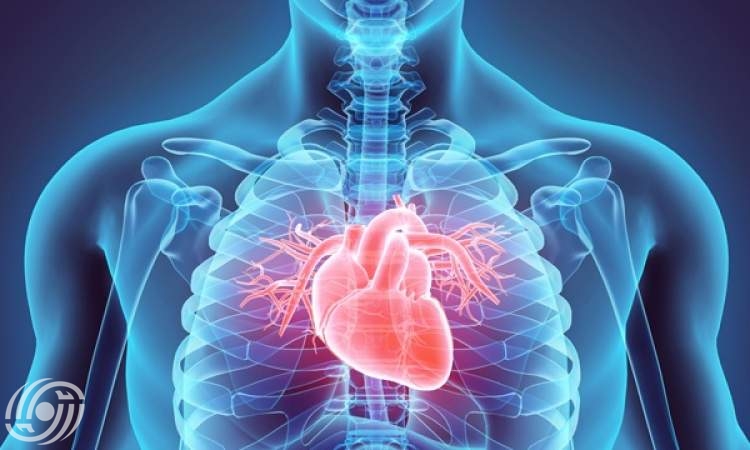 من الجينات إلى القلب: الآليات الخفية لأمراض القلب الخلقية من الجينات إلى القلب: الآليات الخفية لأمراض القلب الخلقية