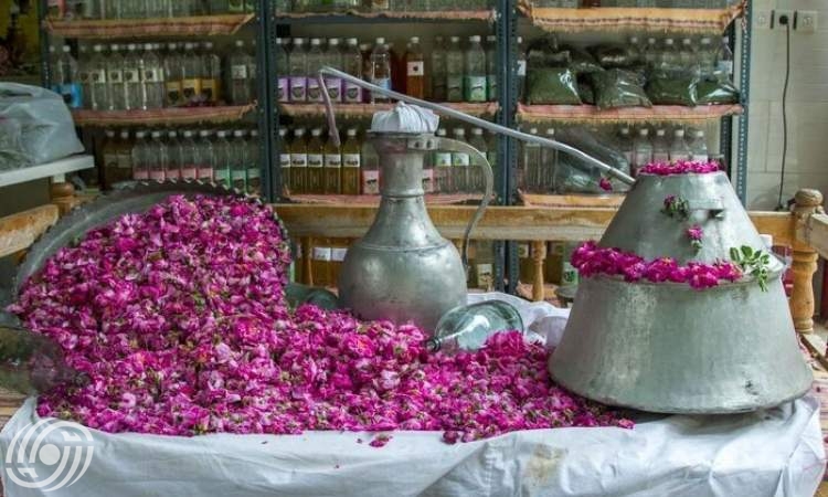 ماء الورد متجذر في أعماق التاريخ والثقافة والتراث الإيراني ماء الورد متجذر في أعماق التاريخ والثقافة والتراث الإيراني