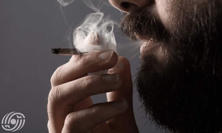 العلامات الأولى لاستهلاك الزهور