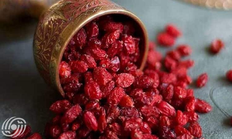 كيف يساعد البرباريس (زرشک) في توازن الصفراء وصحة الكبد؟