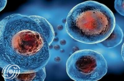 أول منتج إيراني للعلاج بالخلايا يدخل قائمة الأدوية في البلاد