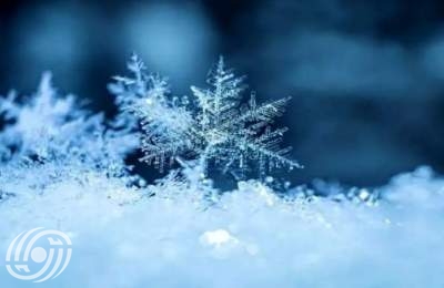 أول تساقط للثلوج الخريفية على الحرم الجامعي + فيديو  <img src="/images/video_icon.png" width="16" height="16" border="0" align="top">