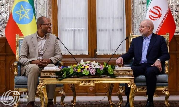 رئيس مجلس النواب الإثيوبي يلتقي قاليباف