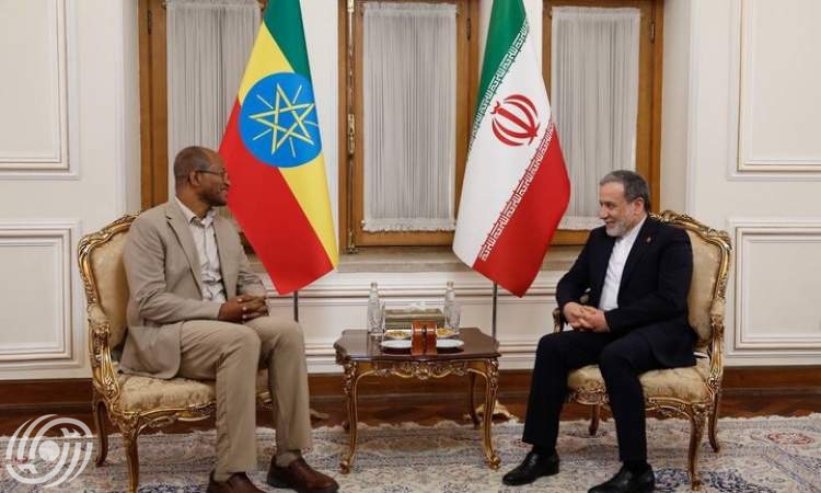 رئيس مجلس النواب الإثيوبي يلتقي وزير الخارجية الإيراني